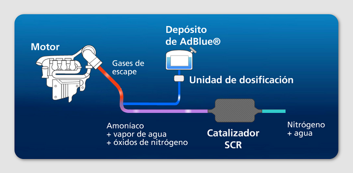 CUIDADO CON EL ADBLUE ‼️‼️ 